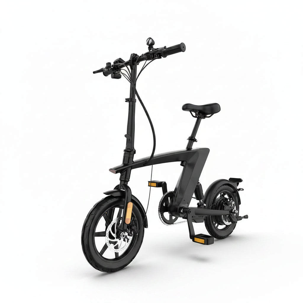2025 New Model Electric BIKE 36V 10Ah Lithium 30Km Range