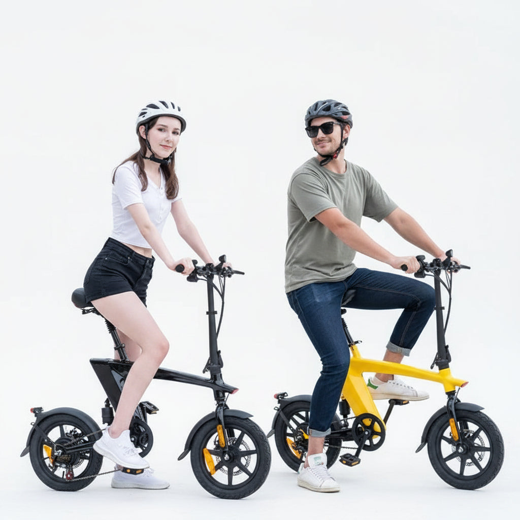 2025 New Model Electric BIKE 36V 10Ah Lithium 30Km Range