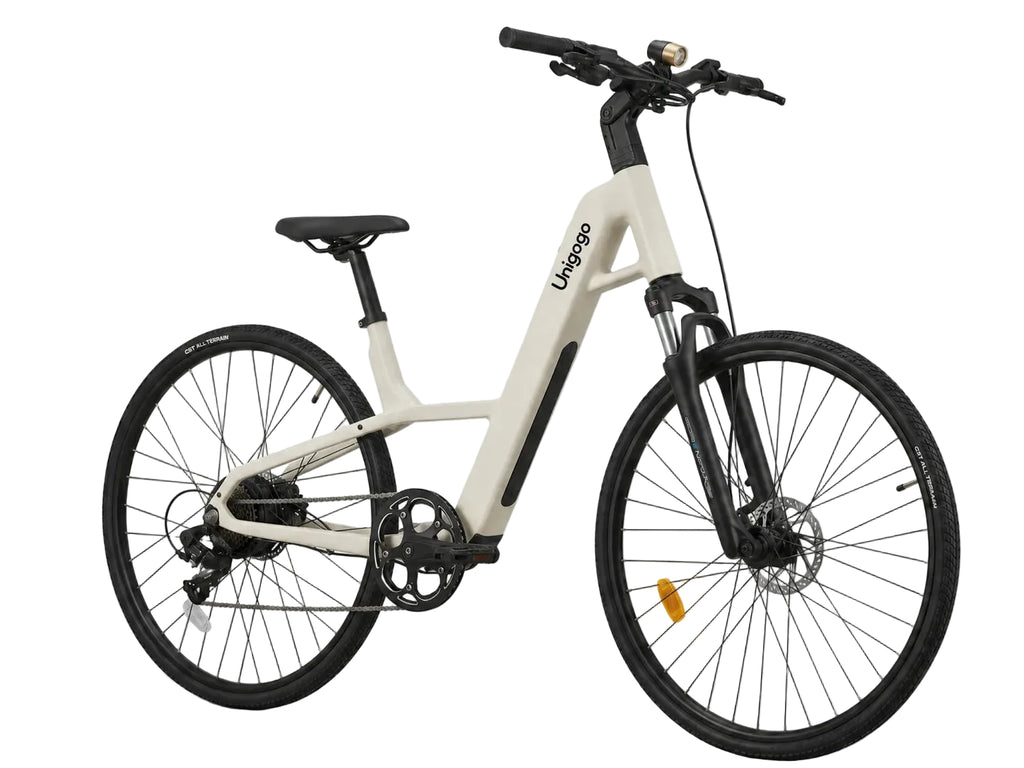M6 OEM Carbon Fiber Electric Bike 250W Lightweight