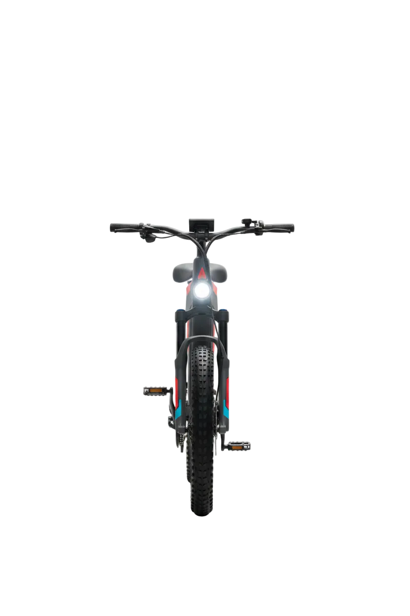 Surge X Pro Carbon Frame E-Bike