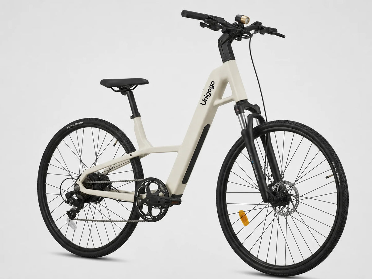 M6 OEM Carbon Fiber Electric Bike 250W Lightweight
