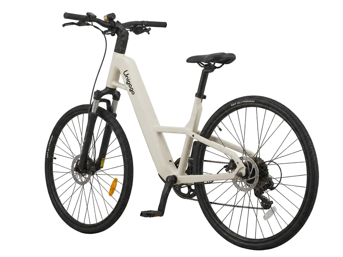 M6 OEM Carbon Fiber Electric Bike 250W Lightweight