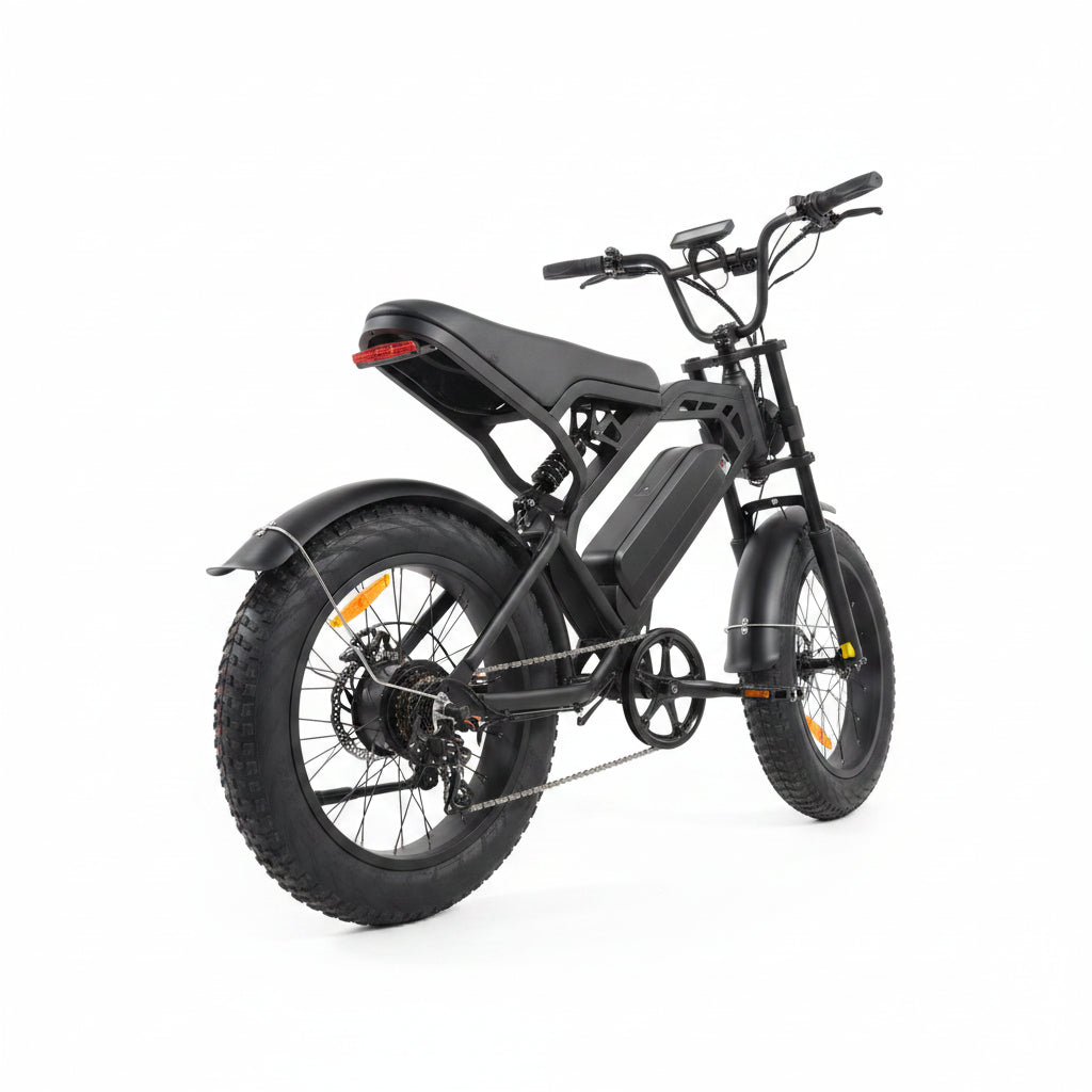 YTYIN V20 Fat Tire Electric Bike In EU USA Warehouse