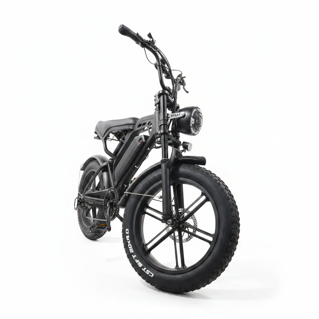 YTYIN V20 Fat Tire Electric Bike In EU USA Warehouse