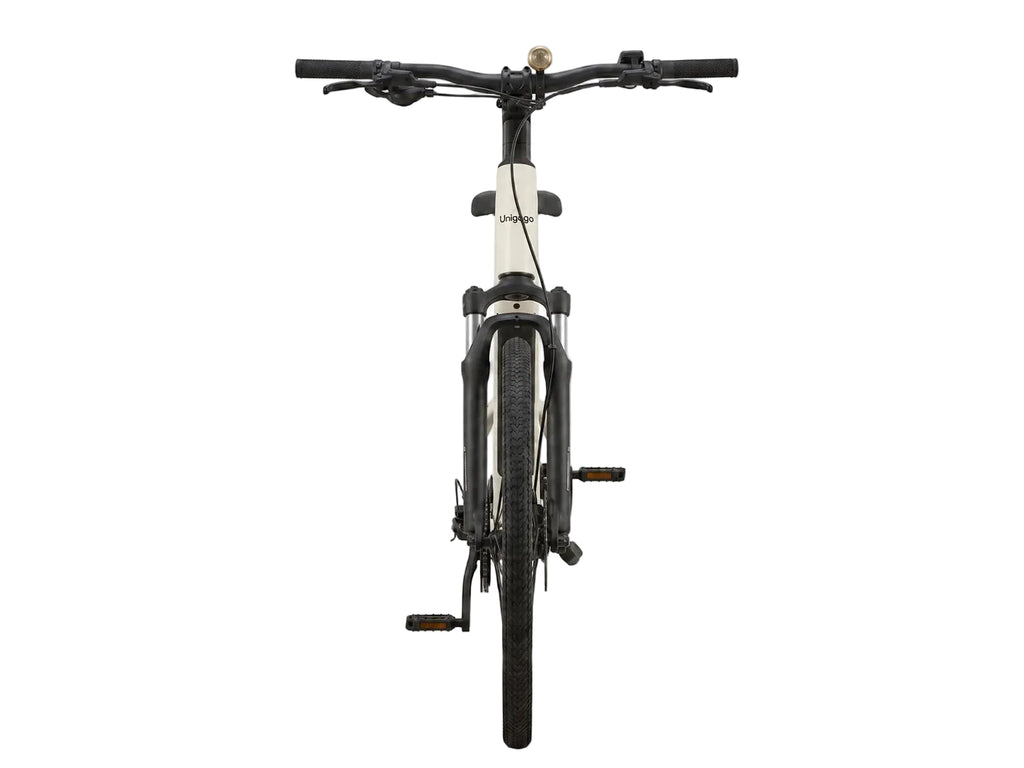 M6 OEM Carbon Fiber Electric Bike 250W Lightweight